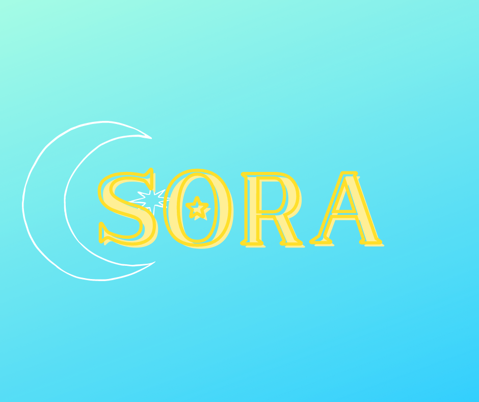 アカシックレコード:宙プラン(Sora)